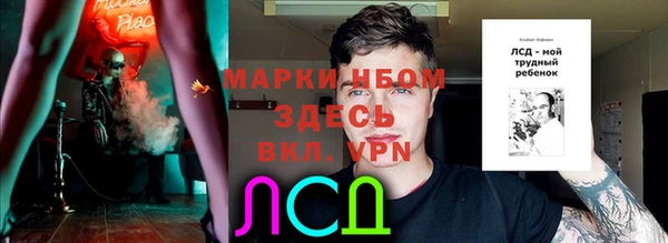круглые Абаза