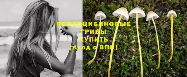 мет Абинск
