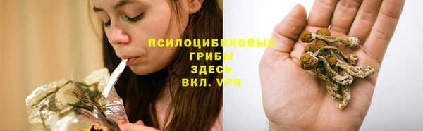 мет Абинск