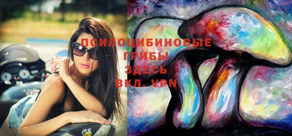 PSILOCYBIN Абдулино
