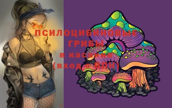 круглые Абаза