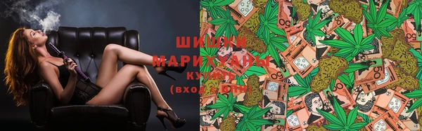 PSILOCYBIN Абдулино
