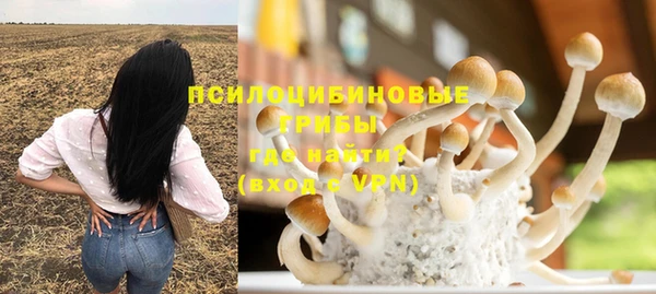 PSILOCYBIN Абдулино