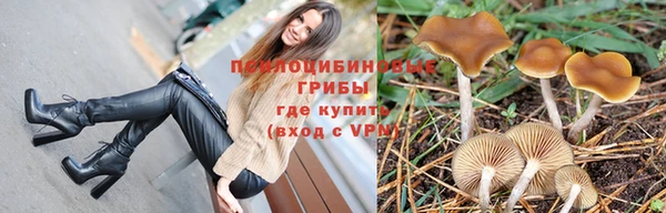 круглые Абаза