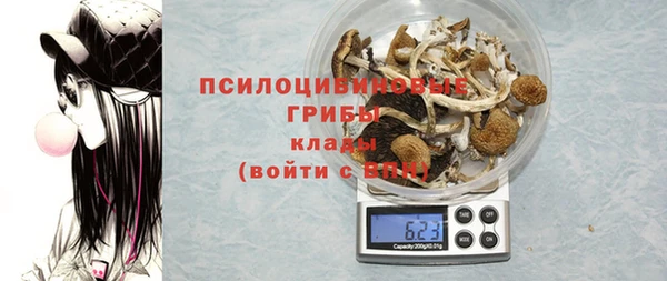 PSILOCYBIN Абдулино